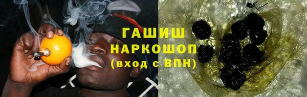 spice Няндома
