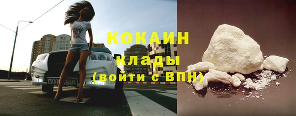 стафф Новозыбков