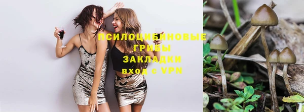spice Няндома