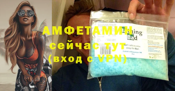 стафф Новозыбков