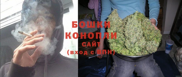 шишки Нягань