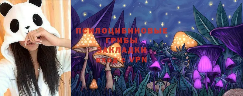 Псилоцибиновые грибы MAGIC MUSHROOMS  мега маркетплейс  Лермонтов 